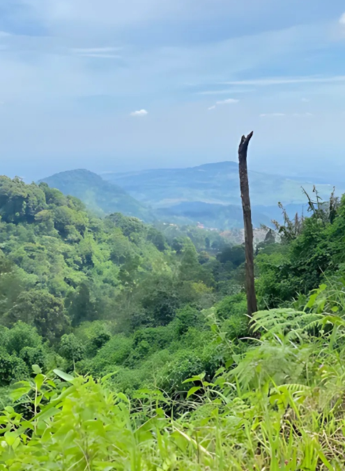 Bukit Cisadon